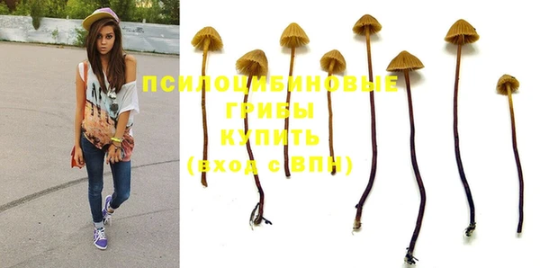 спайс Бородино