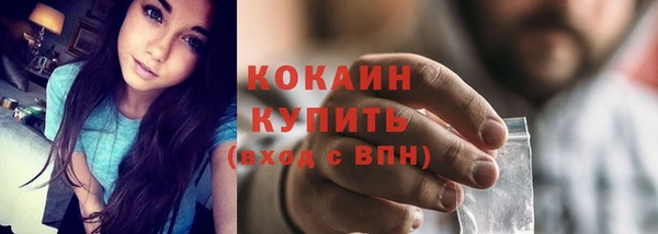 спайс Бородино