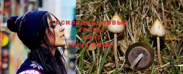 дживик Бугульма