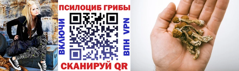 Галлюциногенные грибы прущие грибы Озёрск